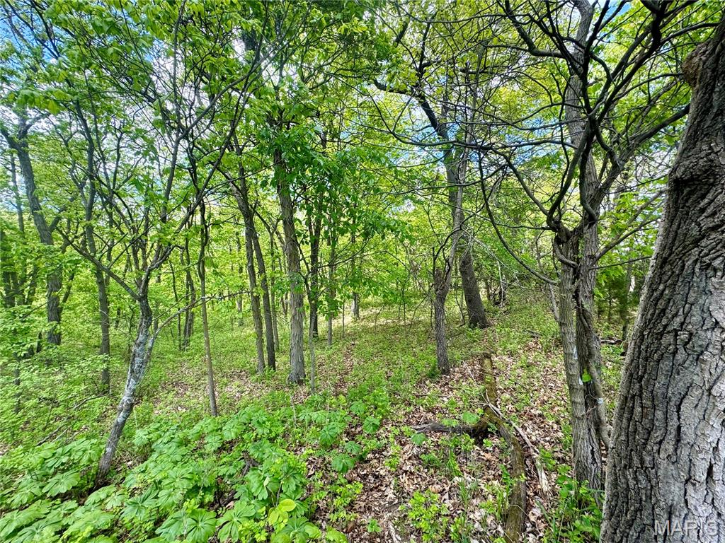 153-ac Aspen Road Humphreys, MO 64646 - Photo 33 of 56