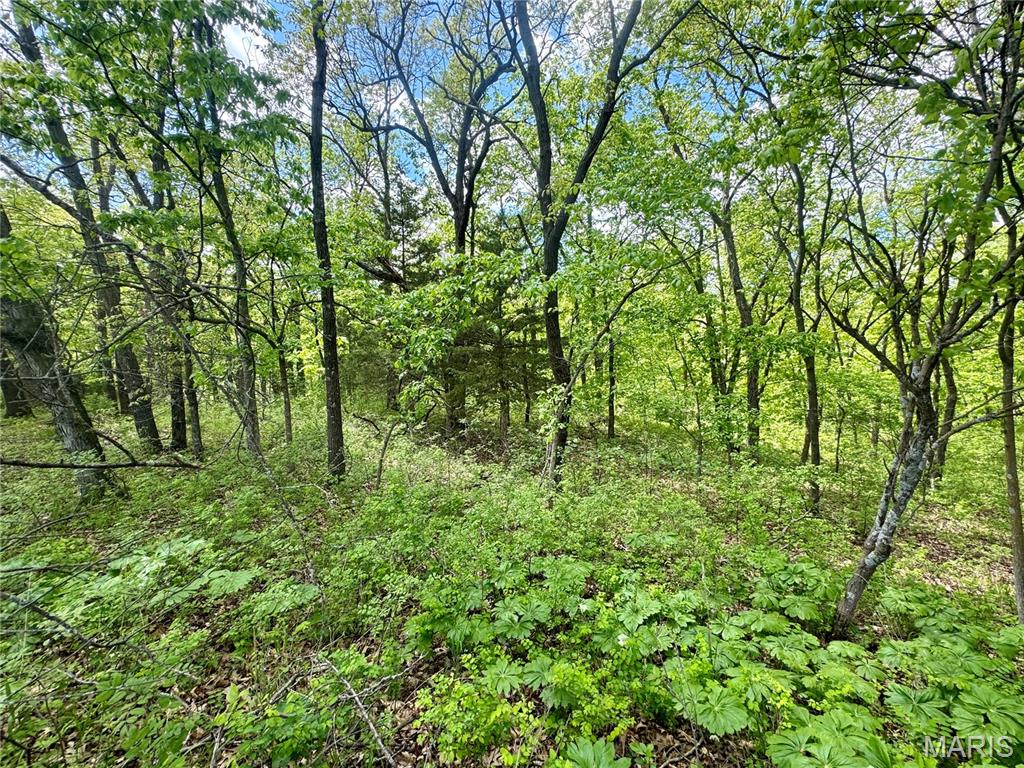 153-ac Aspen Road Humphreys, MO 64646 - Photo 34 of 56