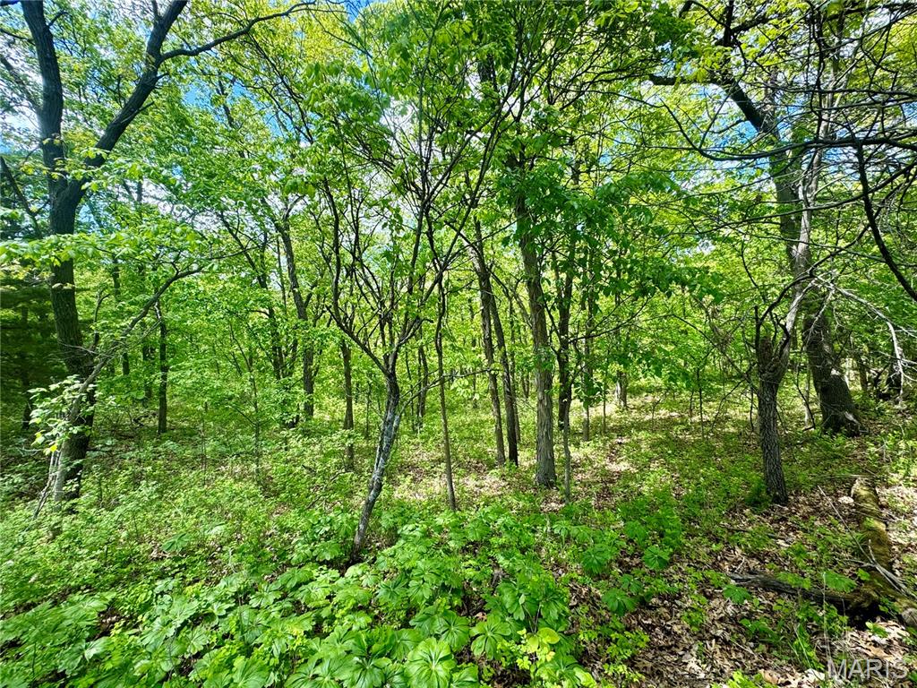 153-ac Aspen Road Humphreys, MO 64646 - Photo 35 of 56