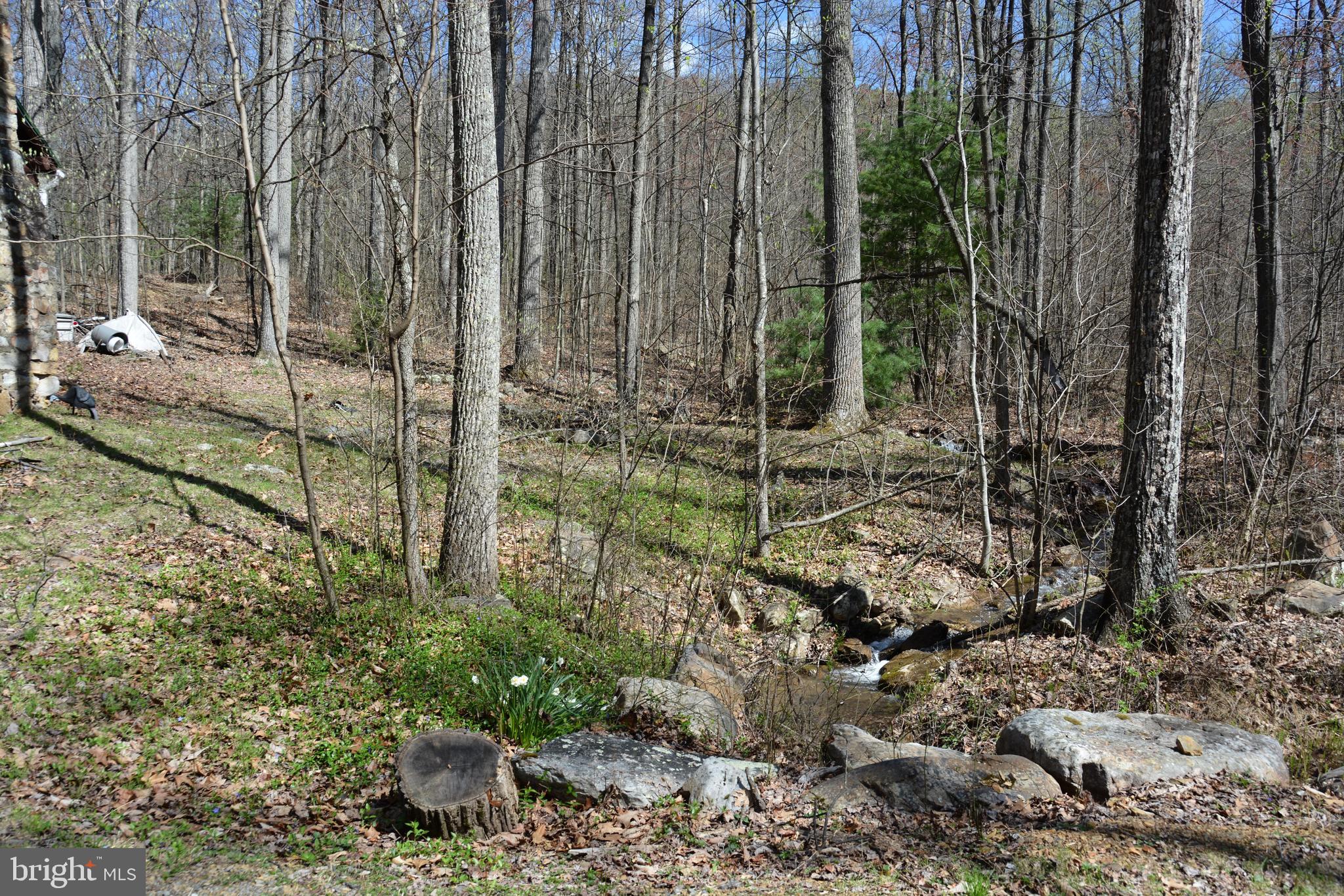 428 Sawlog Road Gore, VA 22637 - Photo 23 of 38 Wet weather stream just behind the cabin.