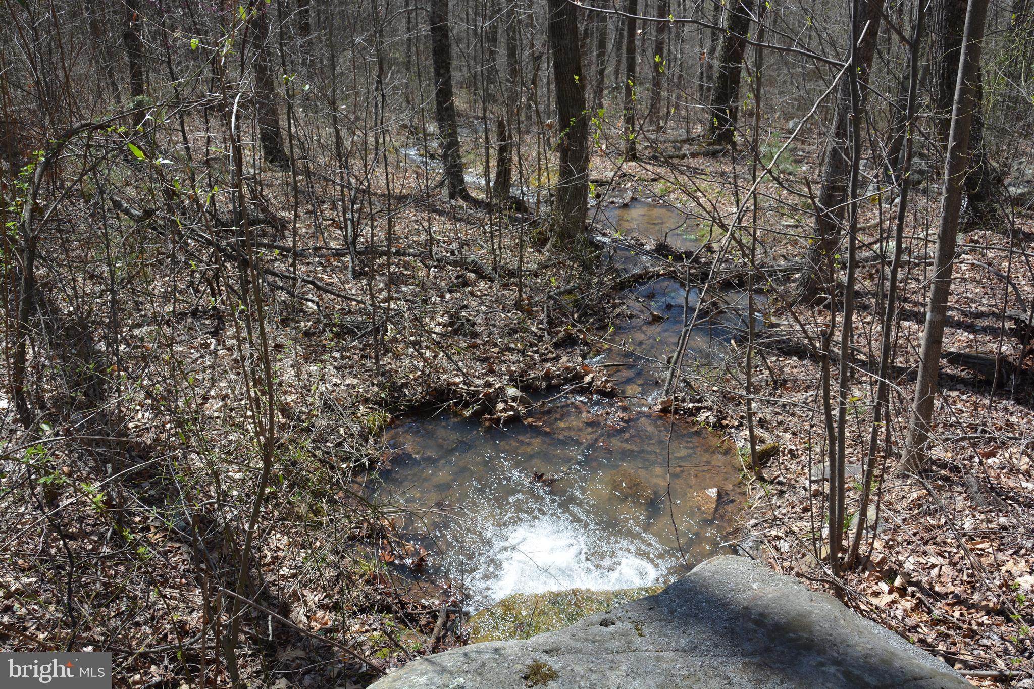 428 Sawlog Road Gore, VA 22637 - Photo 24 of 38 Water rushing fairly nicely. Rained a few days ago