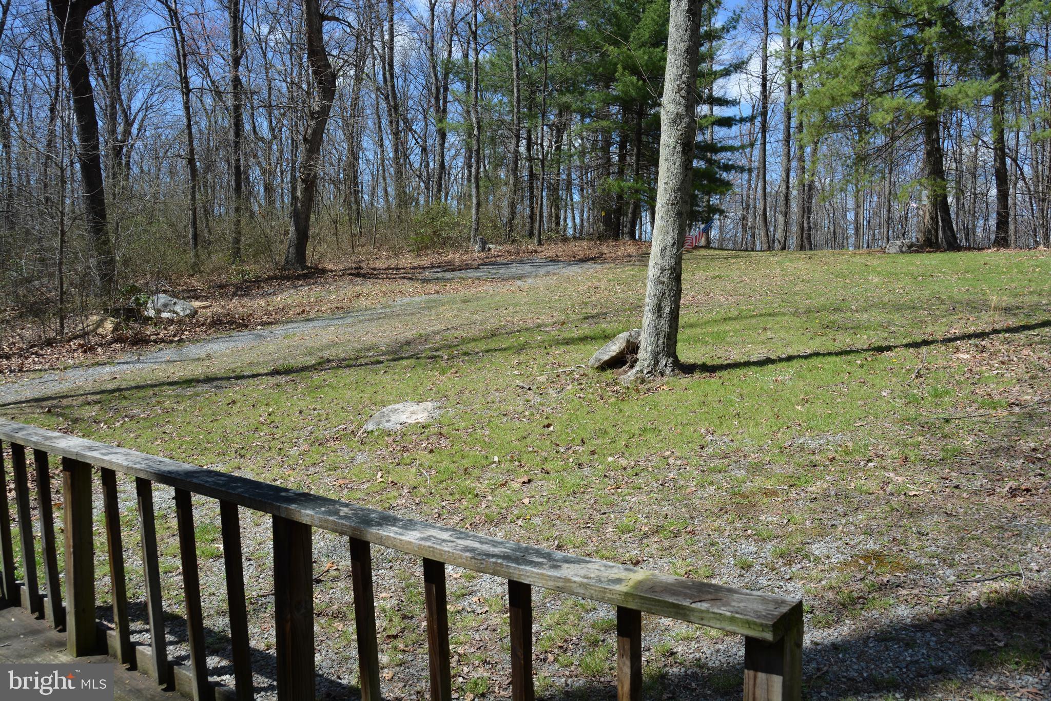 428 Sawlog Road Gore, VA 22637 - Photo 27 of 38 Looking out front, towards the road.