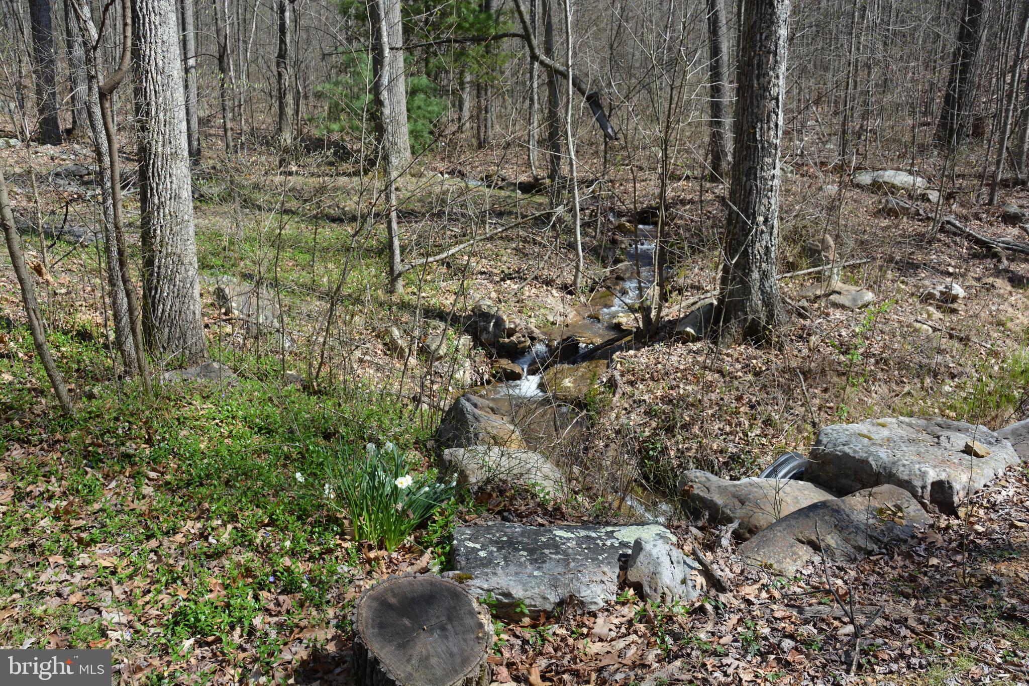 428 Sawlog Road Gore, VA 22637 - Photo 28 of 38 Gallery Image 28