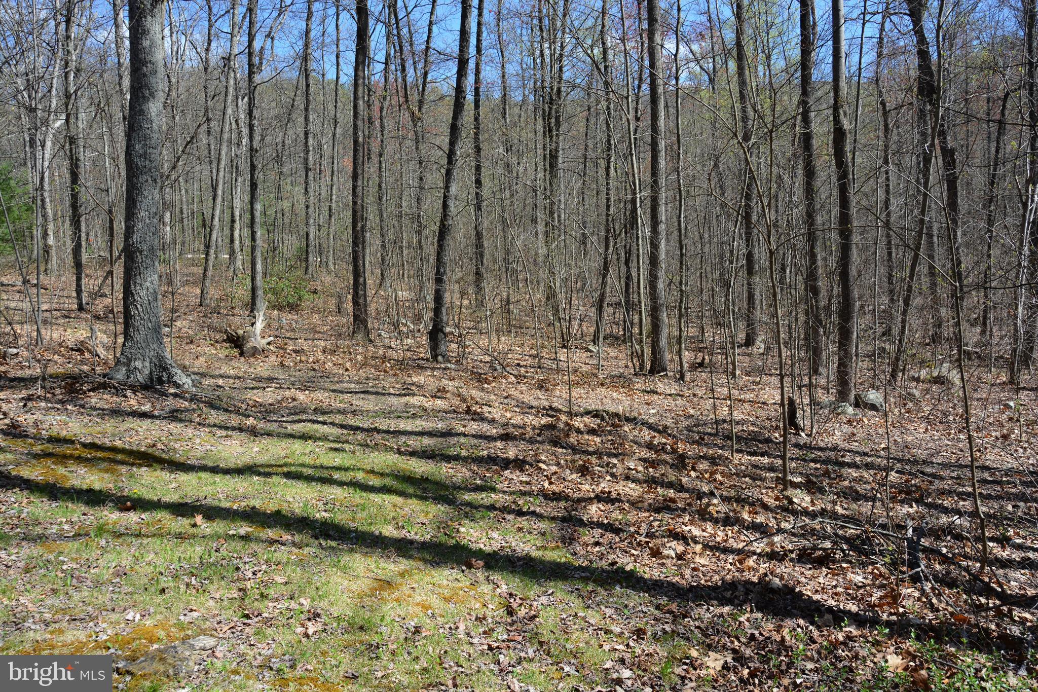 428 Sawlog Road Gore, VA 22637 - Photo 33 of 38 Gallery Image 33