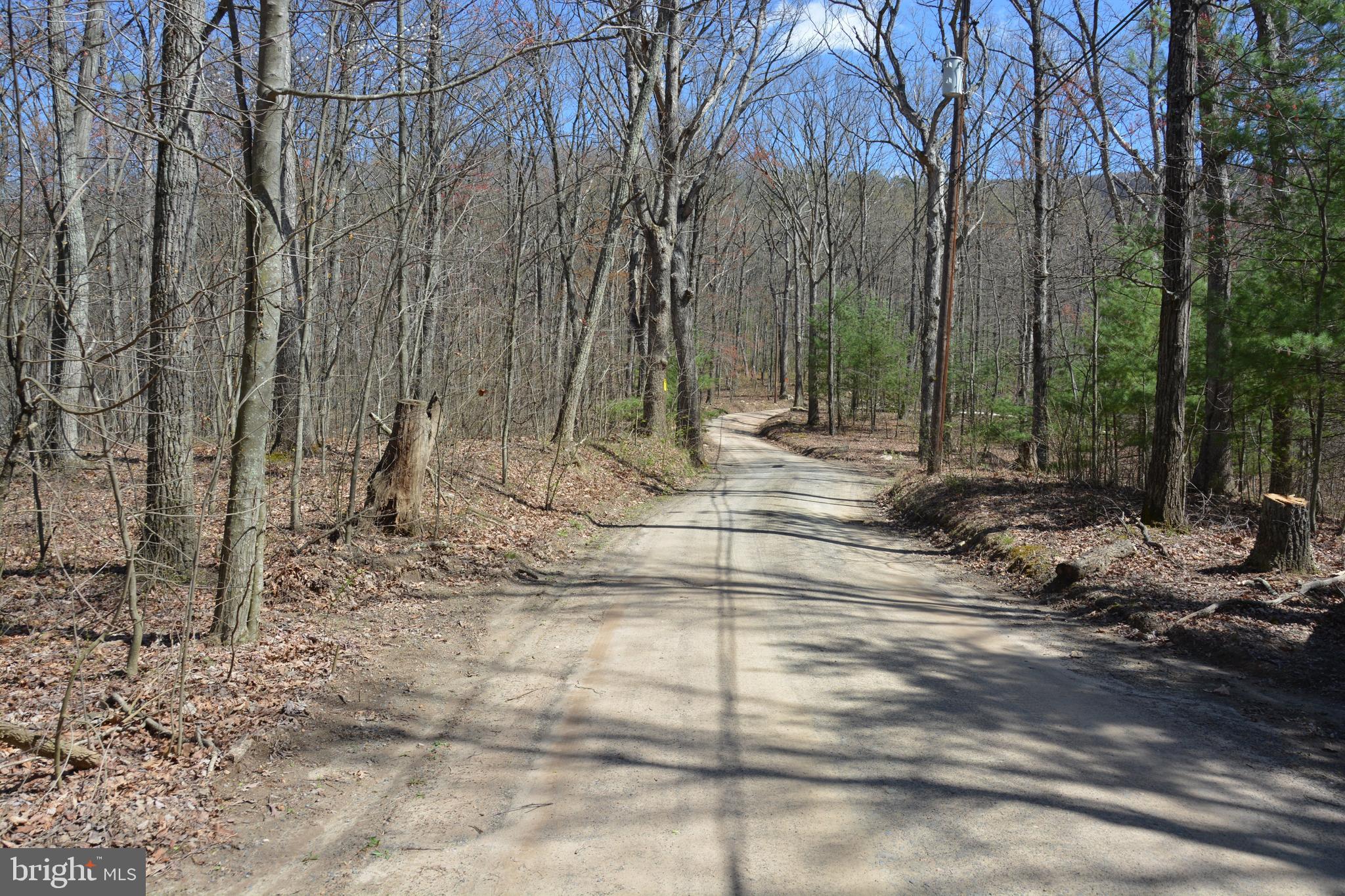 428 Sawlog Road Gore, VA 22637 - Photo 37 of 38 Lots have a half mile frontage on Sawlog.