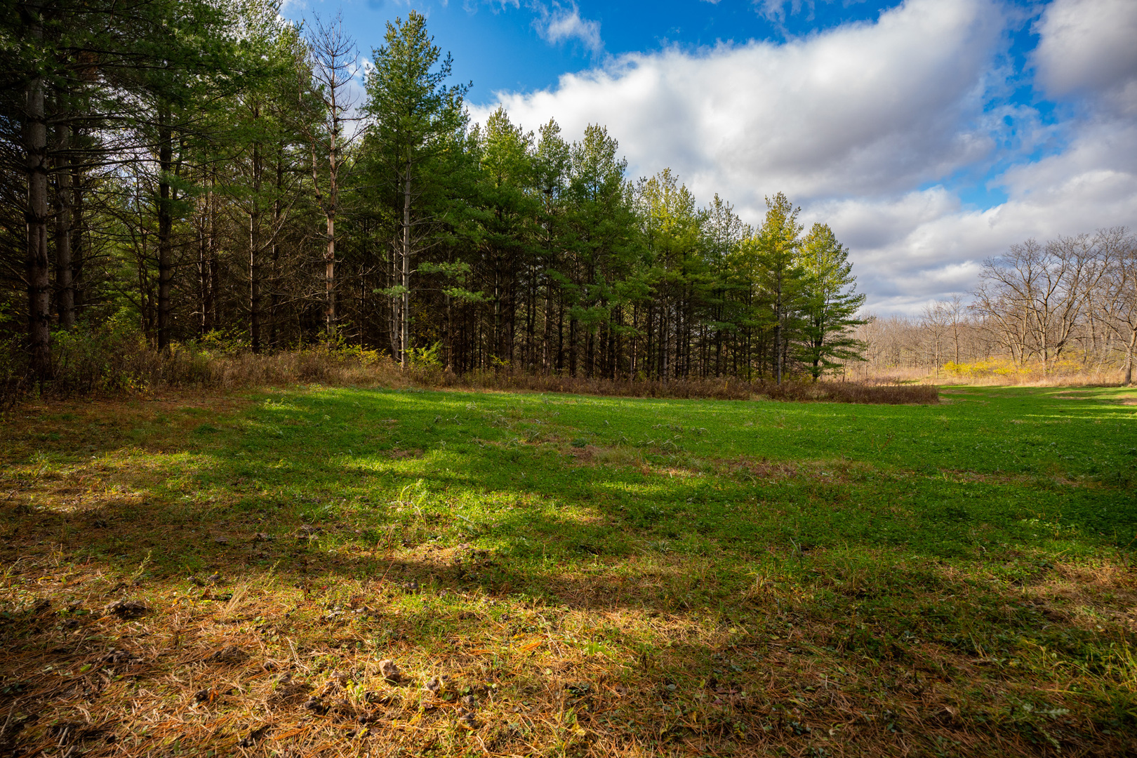 0 South Chana Road Chana, IL 61015 - Photo 23 of 34 Gallery Image 23
