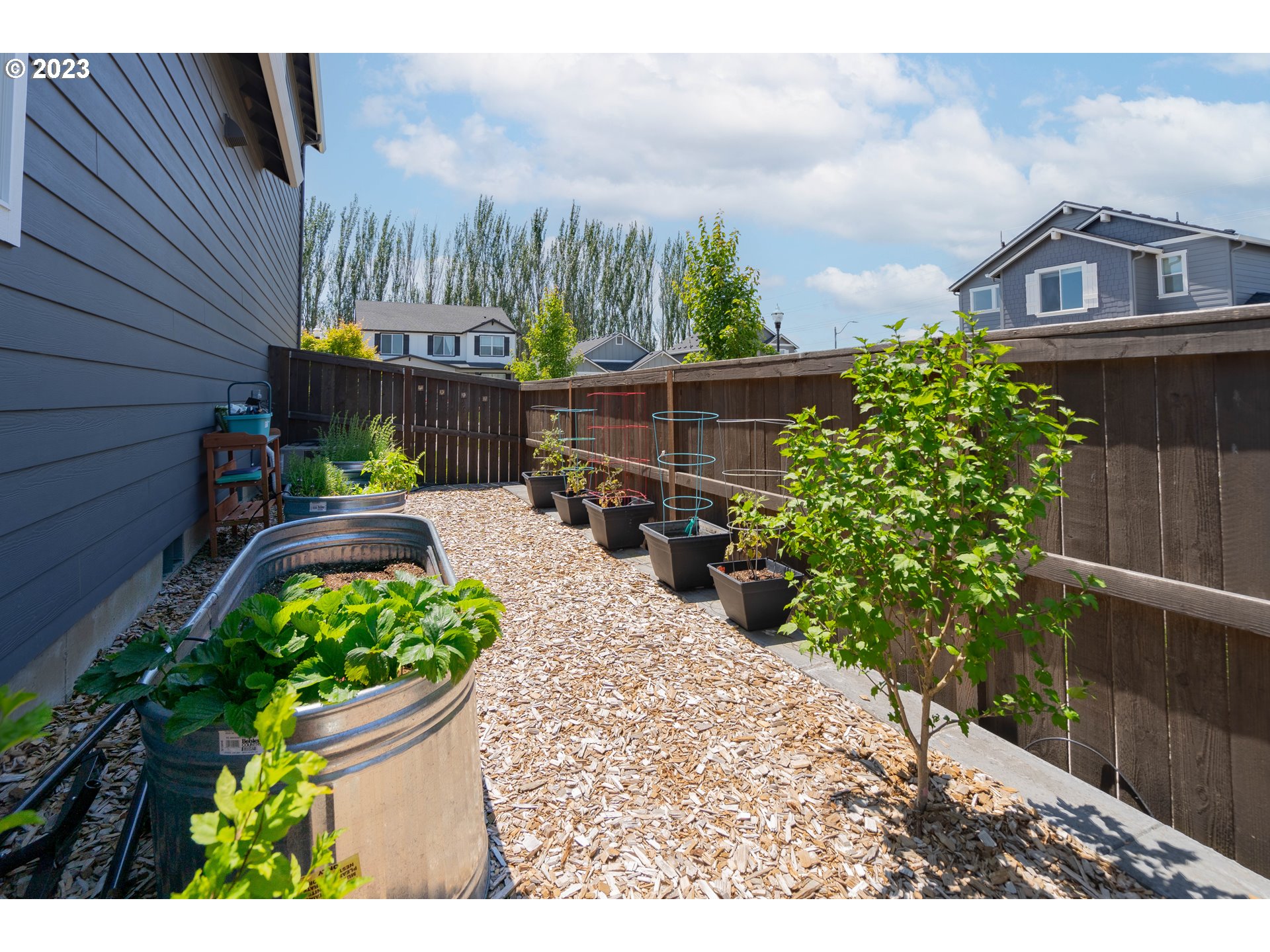 8518 North 1st Street Ridgefield, WA 98642 - Photo 40 of 41 a view of a back yard of the house