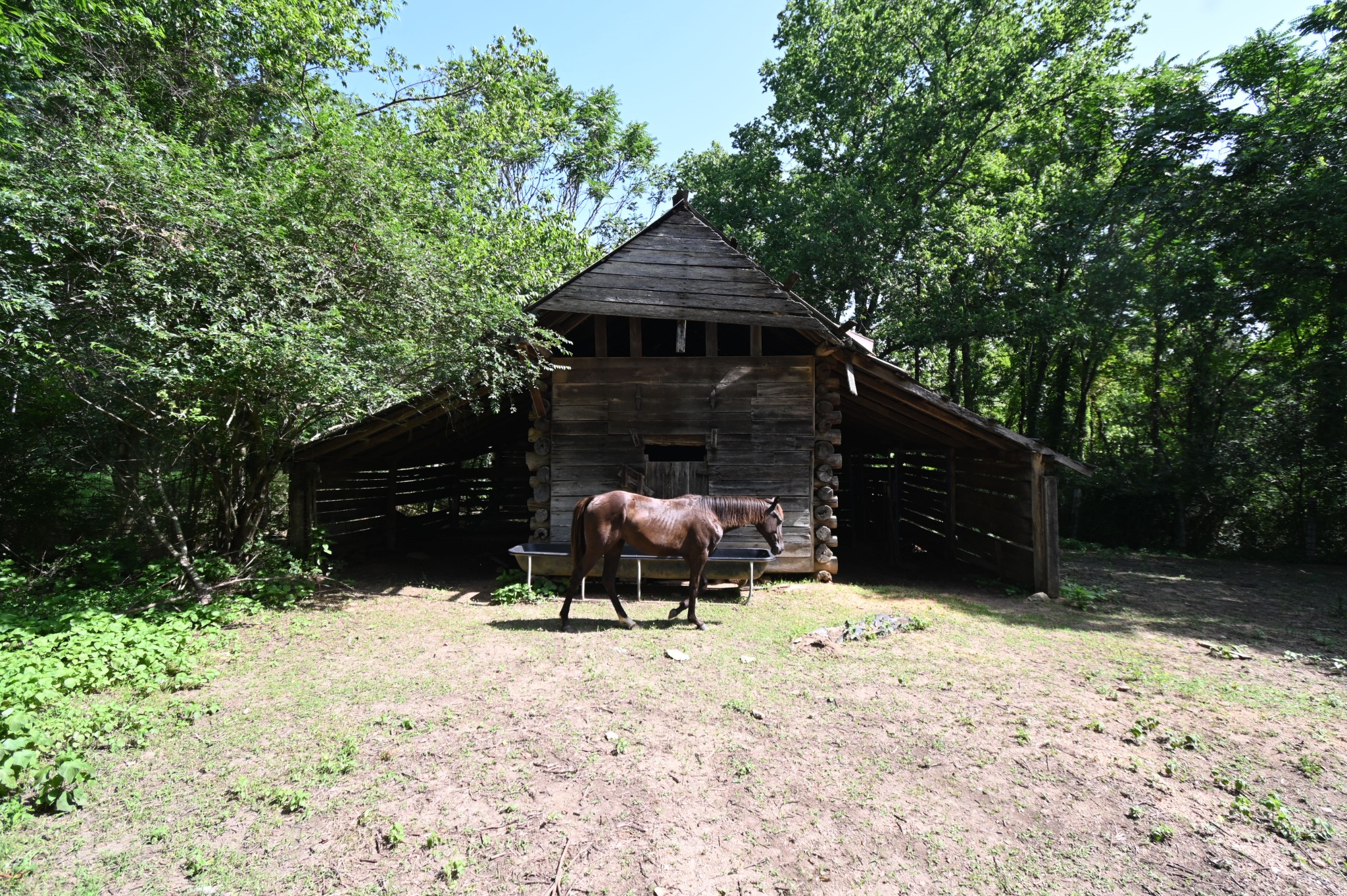 0 Culps Bend Road Clifton, TN 38425 - Photo 4 of 41