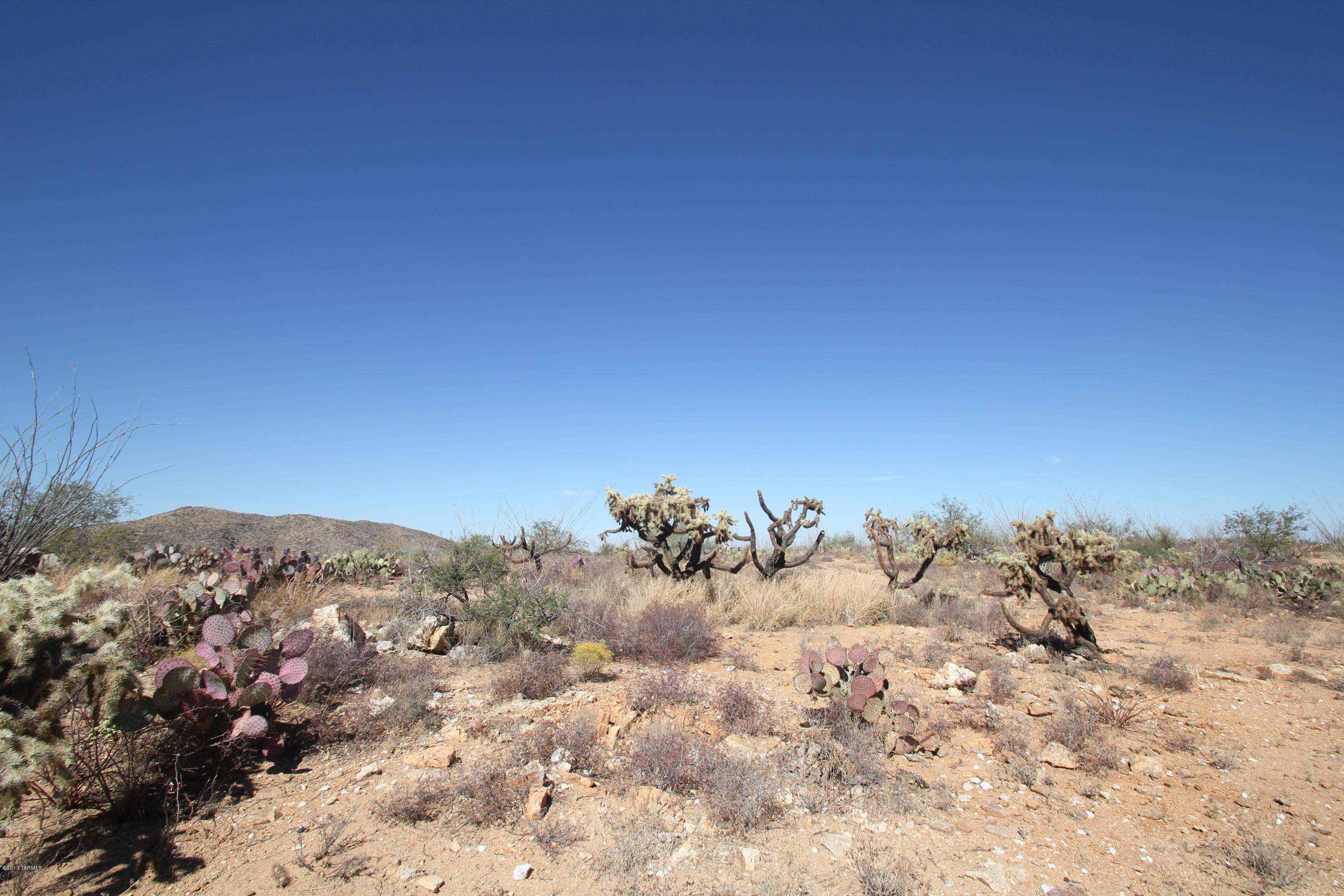 Pinto Road Sahuarita, AZ 85629 - Photo 5 of 17