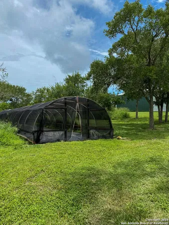 a view of a backyard