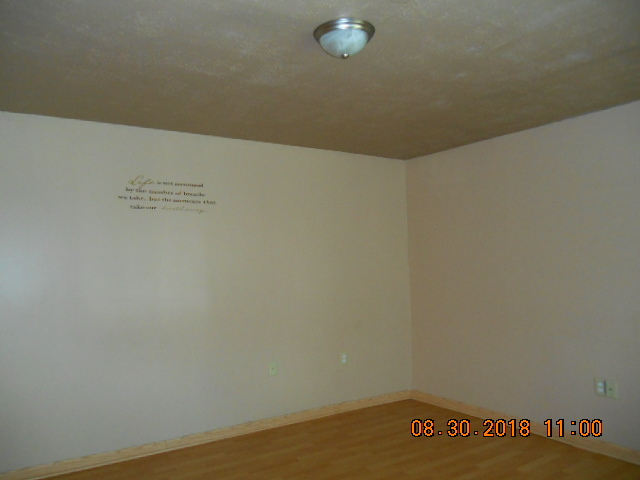 109 West Cleveland Street Spring Valley, IL 61362 - Photo 6 of 11 a view of a room