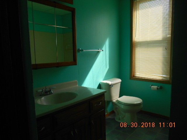 109 West Cleveland Street Spring Valley, IL 61362 - Photo 9 of 11 a bathroom with a sink a toilet and a window