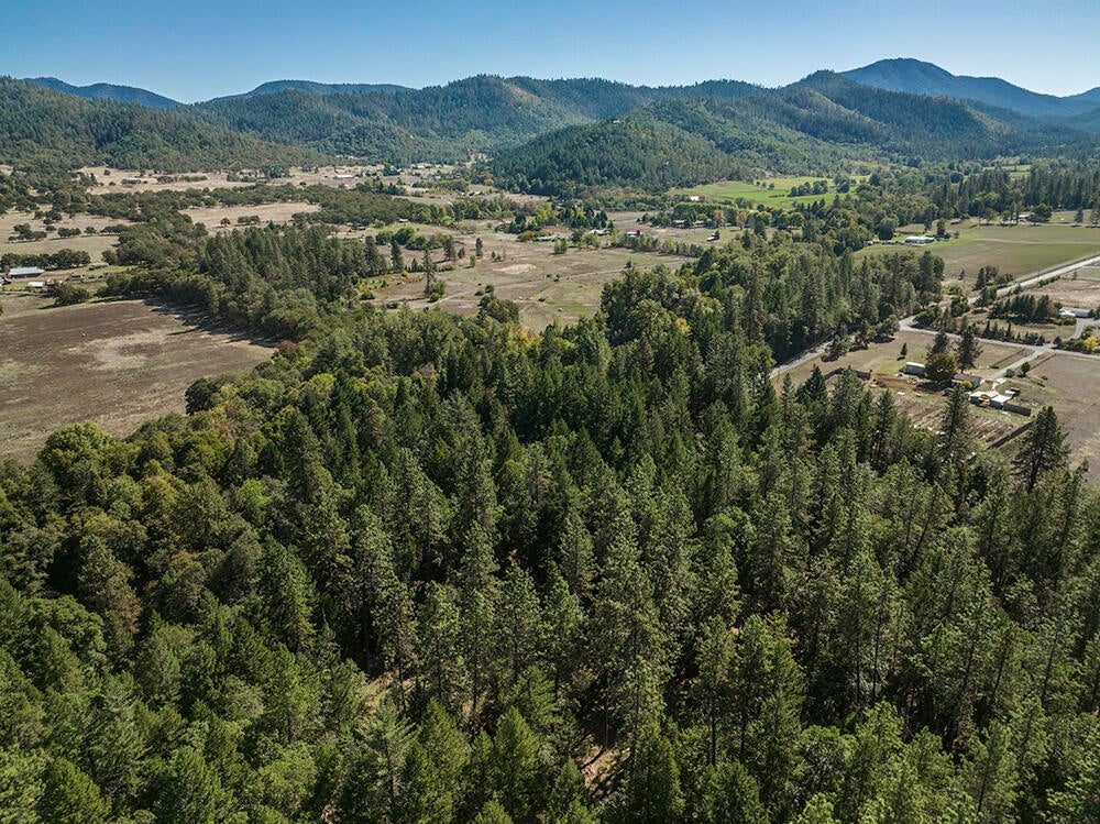 880 East Fork Road Williams, OR 97544 - Photo 45 of 47 44