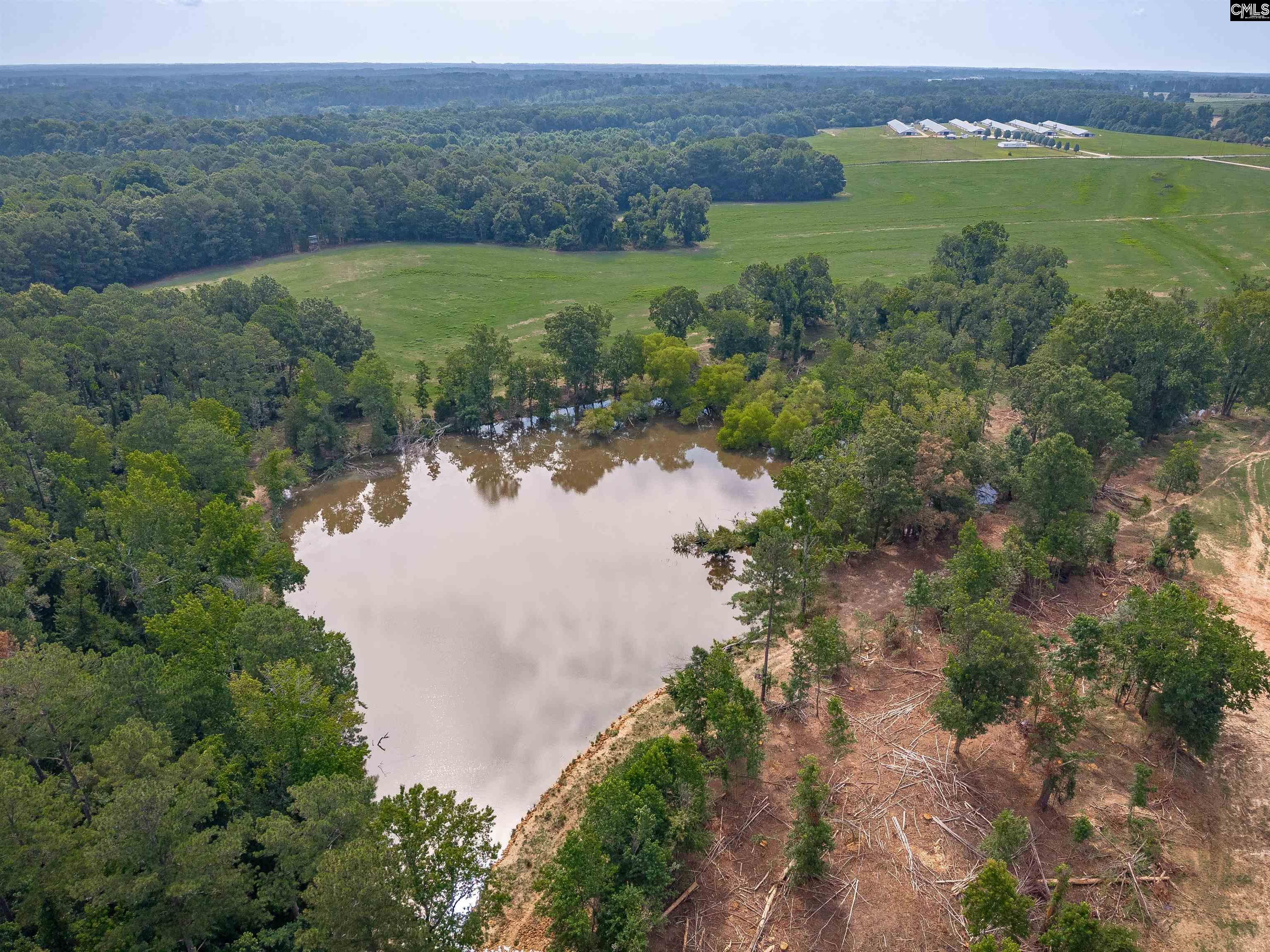 187 Peach Tree Street Ward, SC 29166 - Photo 6 of 35