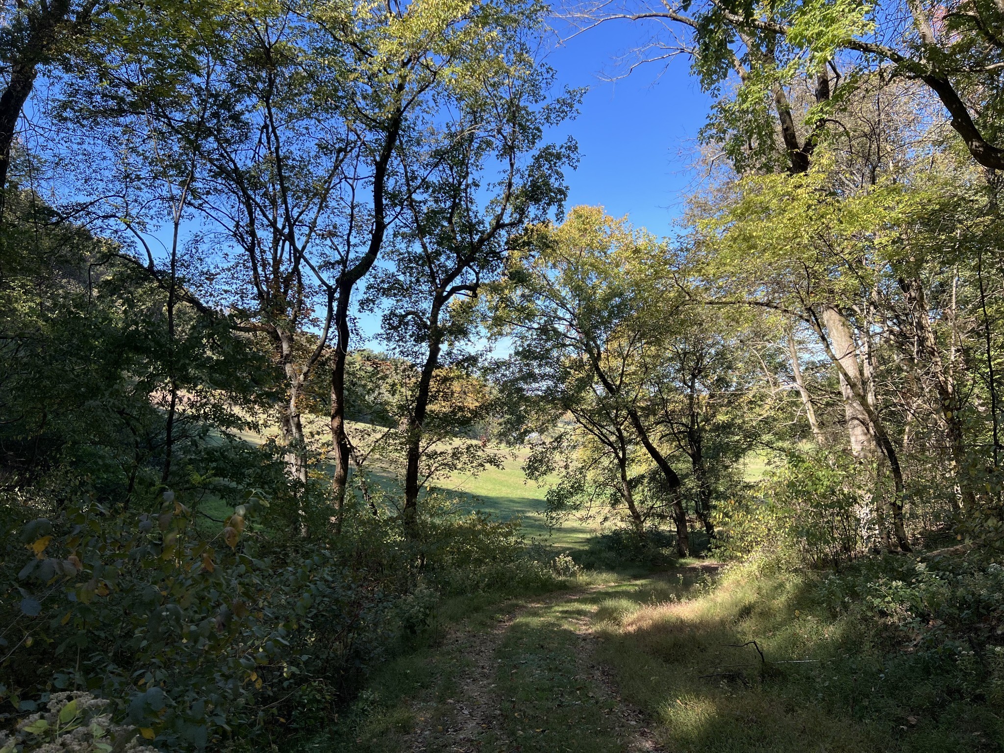 2297 Allisona Road Eagleville, TN 37060 - Photo 16 of 29