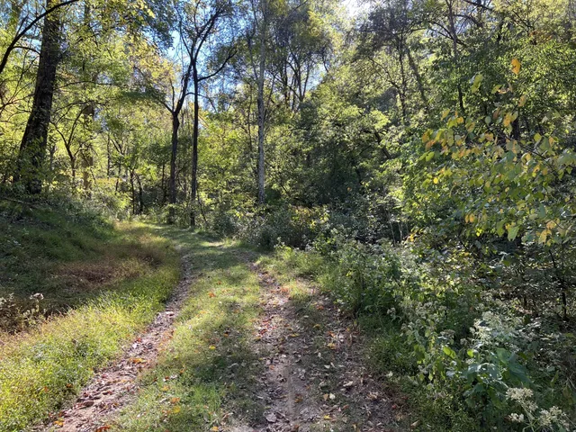 $3,200,000 | 2297 Allisona Road, Eagleville, TN 37060