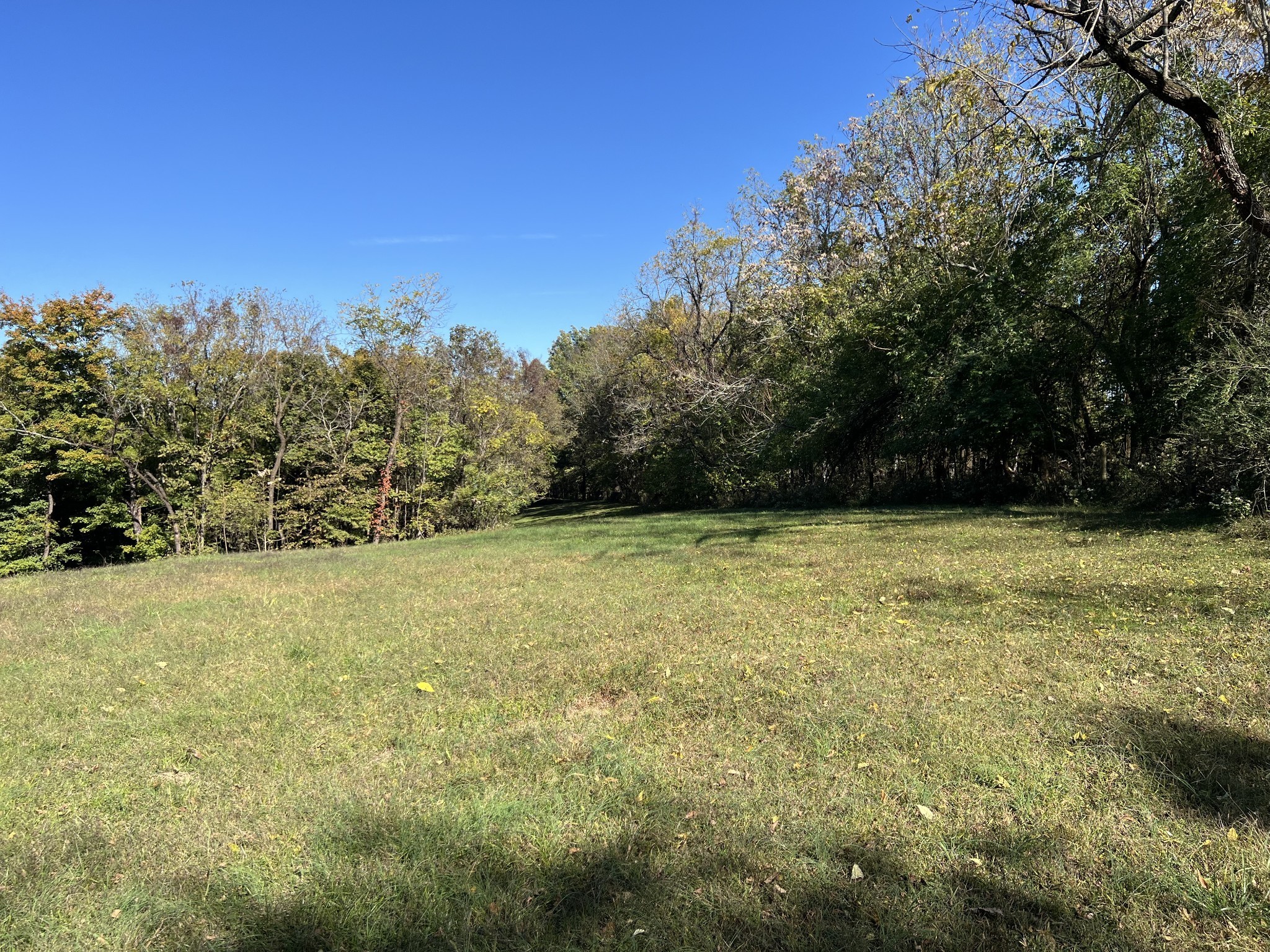 2297 Allisona Road Eagleville, TN 37060 - Photo 20 of 29