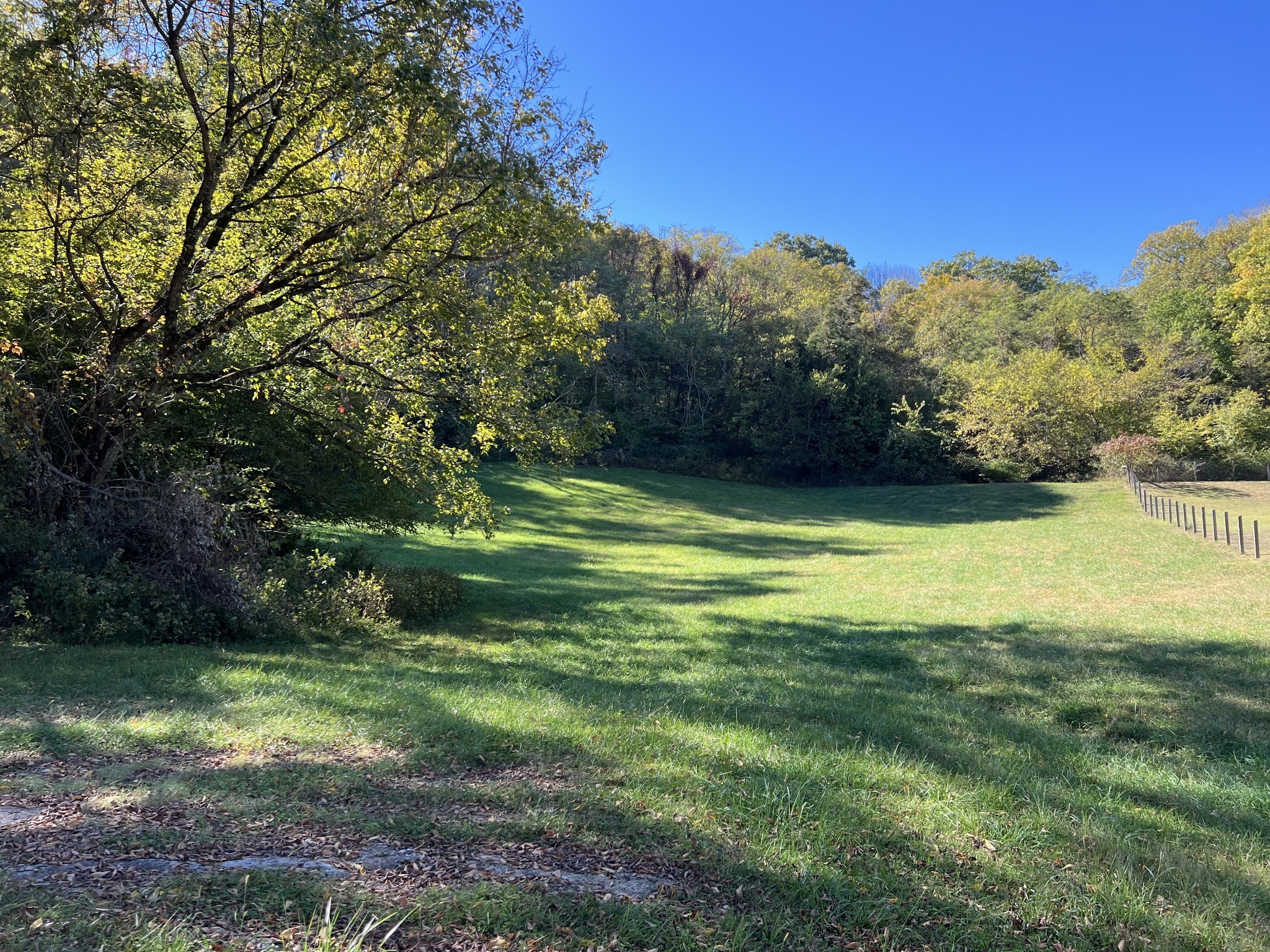 2297 Allisona Road Eagleville, TN 37060 - Photo 6 of 29