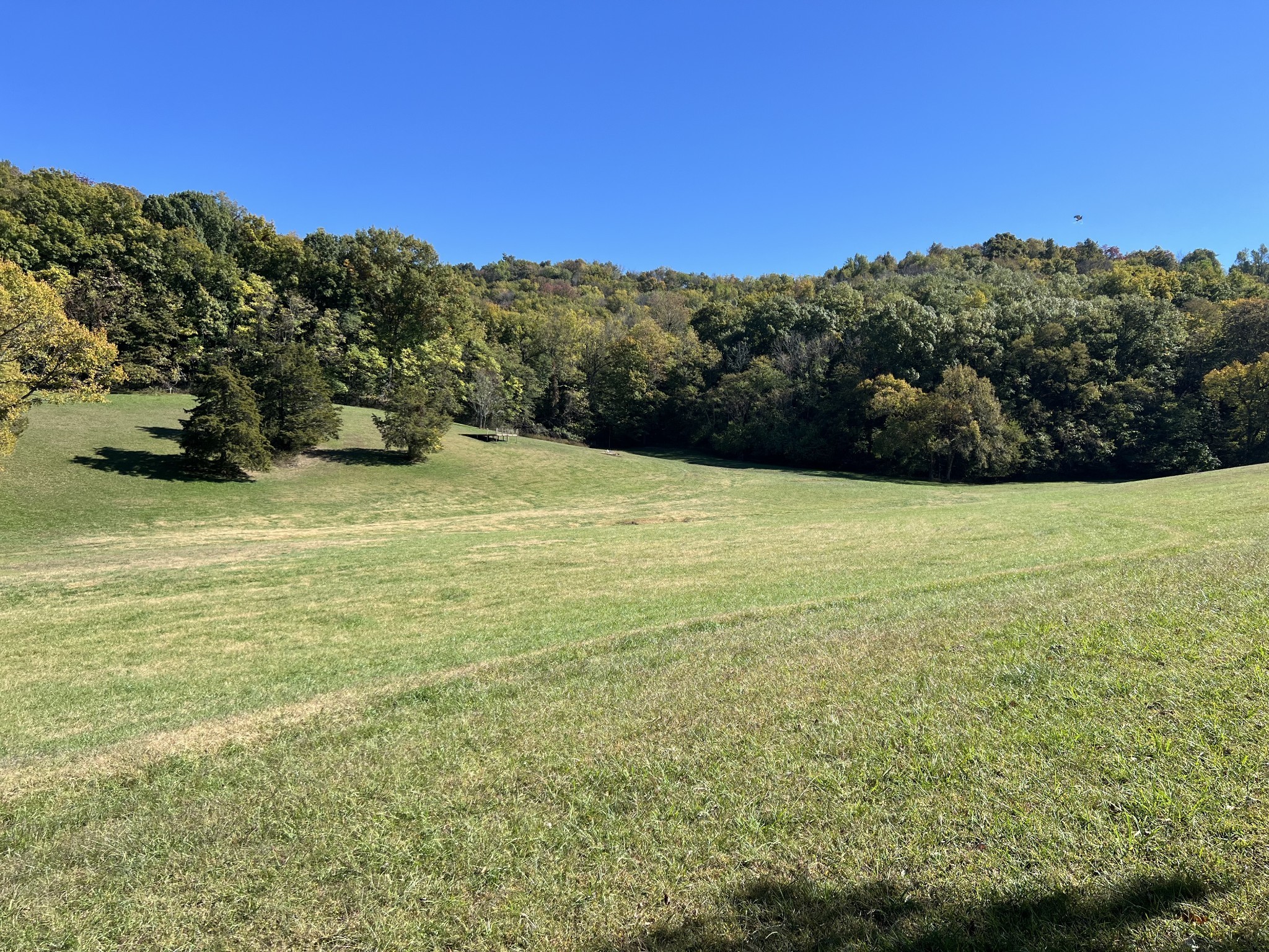 2297 Allisona Road Eagleville, TN 37060 - Photo 7 of 29