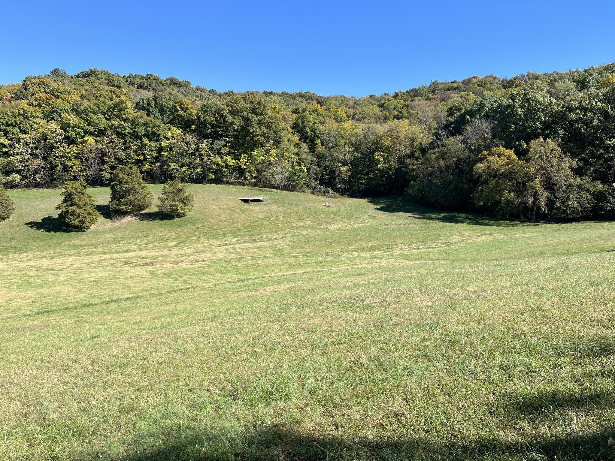 2297 Allisona Road Eagleville, TN 37060 - Photo 9 of 29