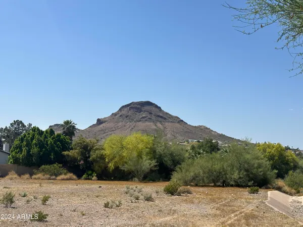 a view of a dry yard with mountain