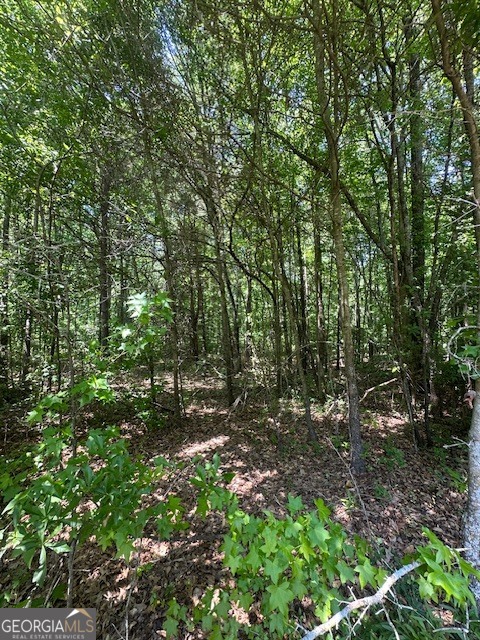 0 Mize Road Commerce, GA 30529 - Photo 1 of 4 a backyard of a house with lots of green space