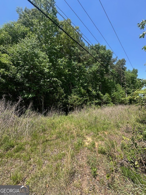 0 Mize Road Commerce, GA 30529 - Photo 3 of 4 a view of a yard