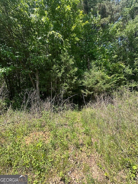0 Mize Road Commerce, GA 30529 - Photo 4 of 4 a view of a lush green forest