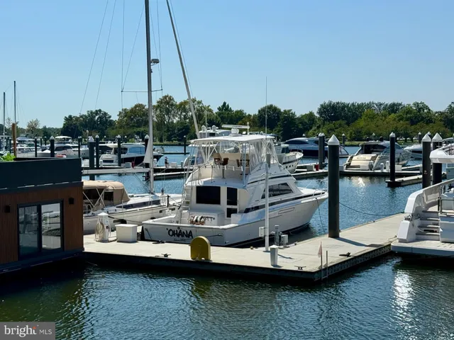a view of a lake with boats and trees in the background