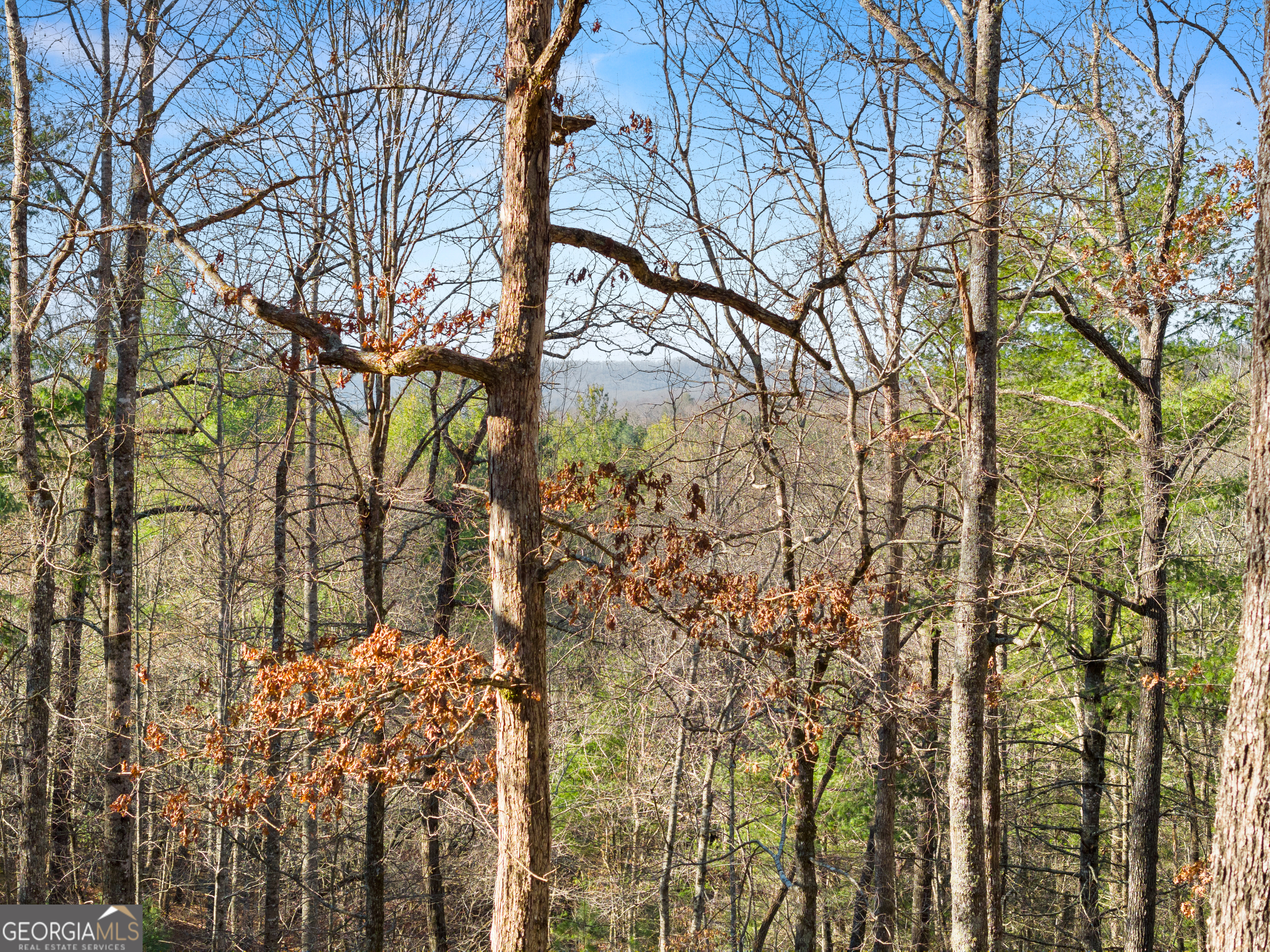 234 Old Indian Trail Blue Ridge, GA 30513 - Photo 40 of 49