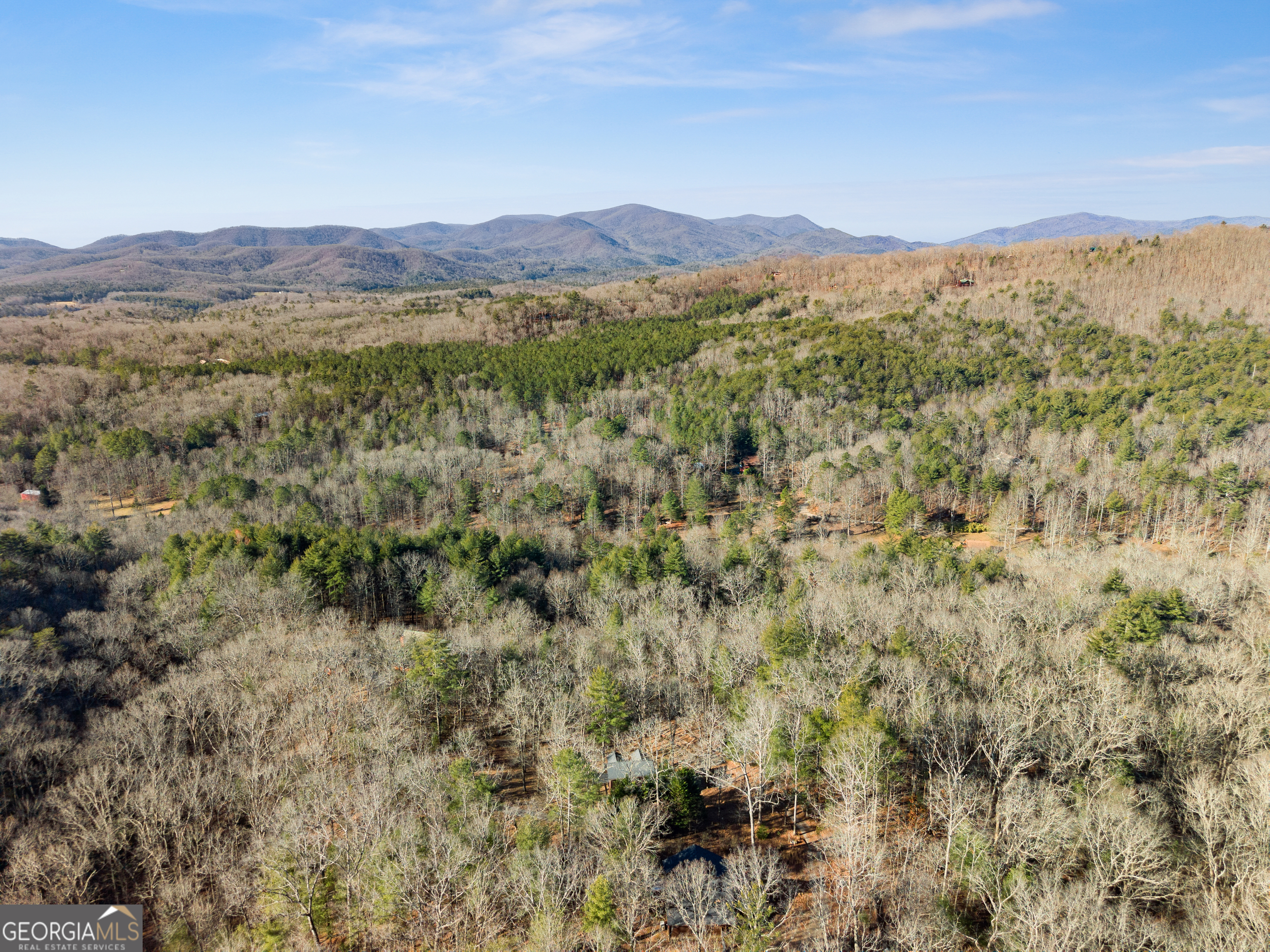 234 Old Indian Trail Blue Ridge, GA 30513 - Photo 46 of 49