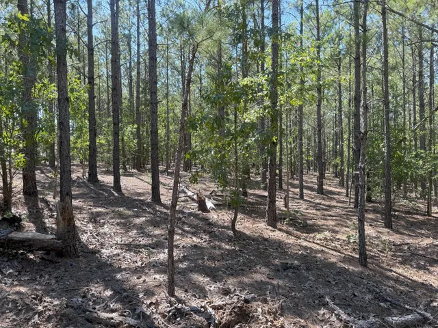 $34,900 | 5 Keys Lane, Unit KF 5, Kershaw, SC 29067