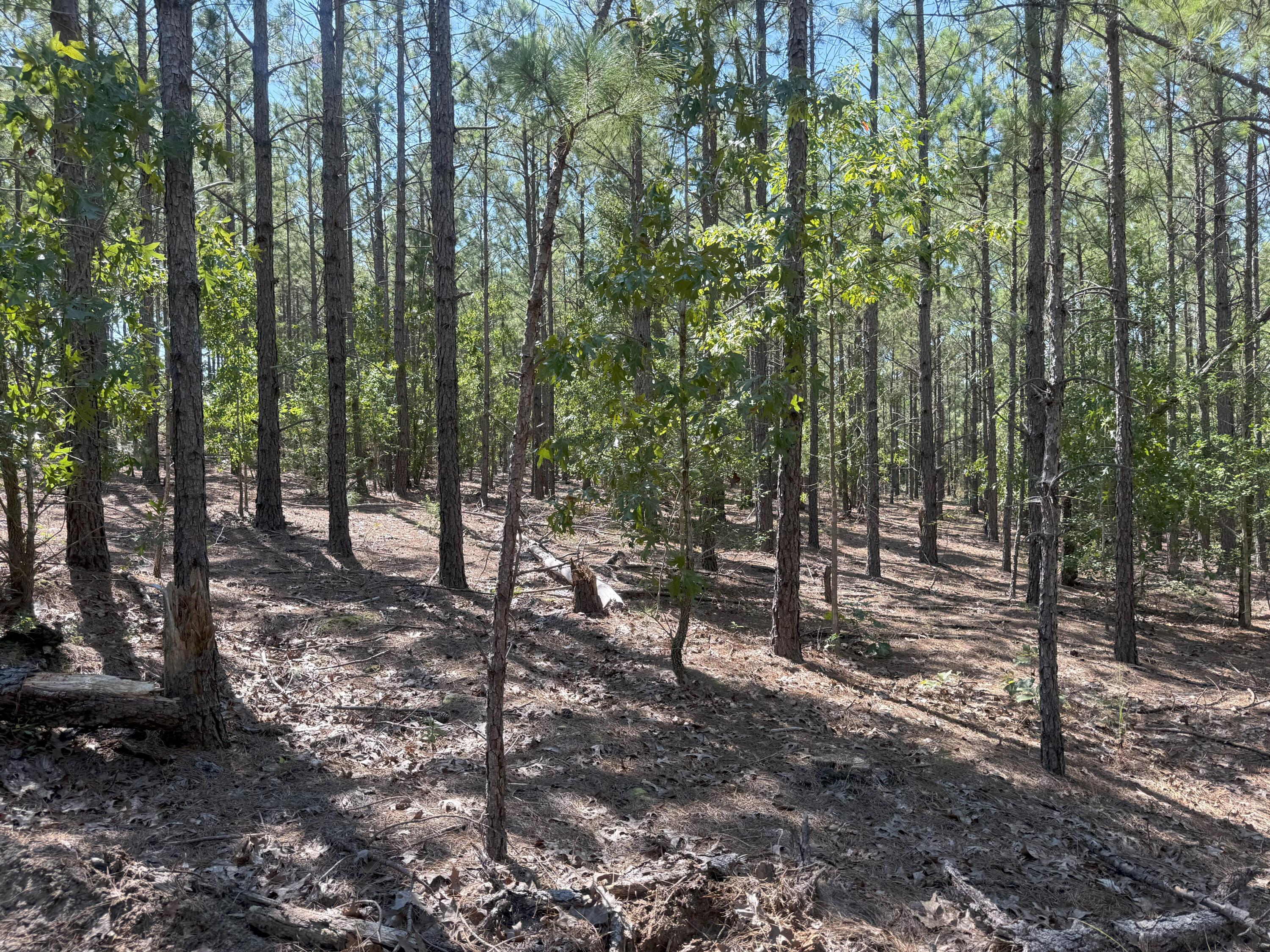 5 Keys Lane, Unit KF 5 Kershaw, SC 29067 - Photo 4 of 10 IMG_2737