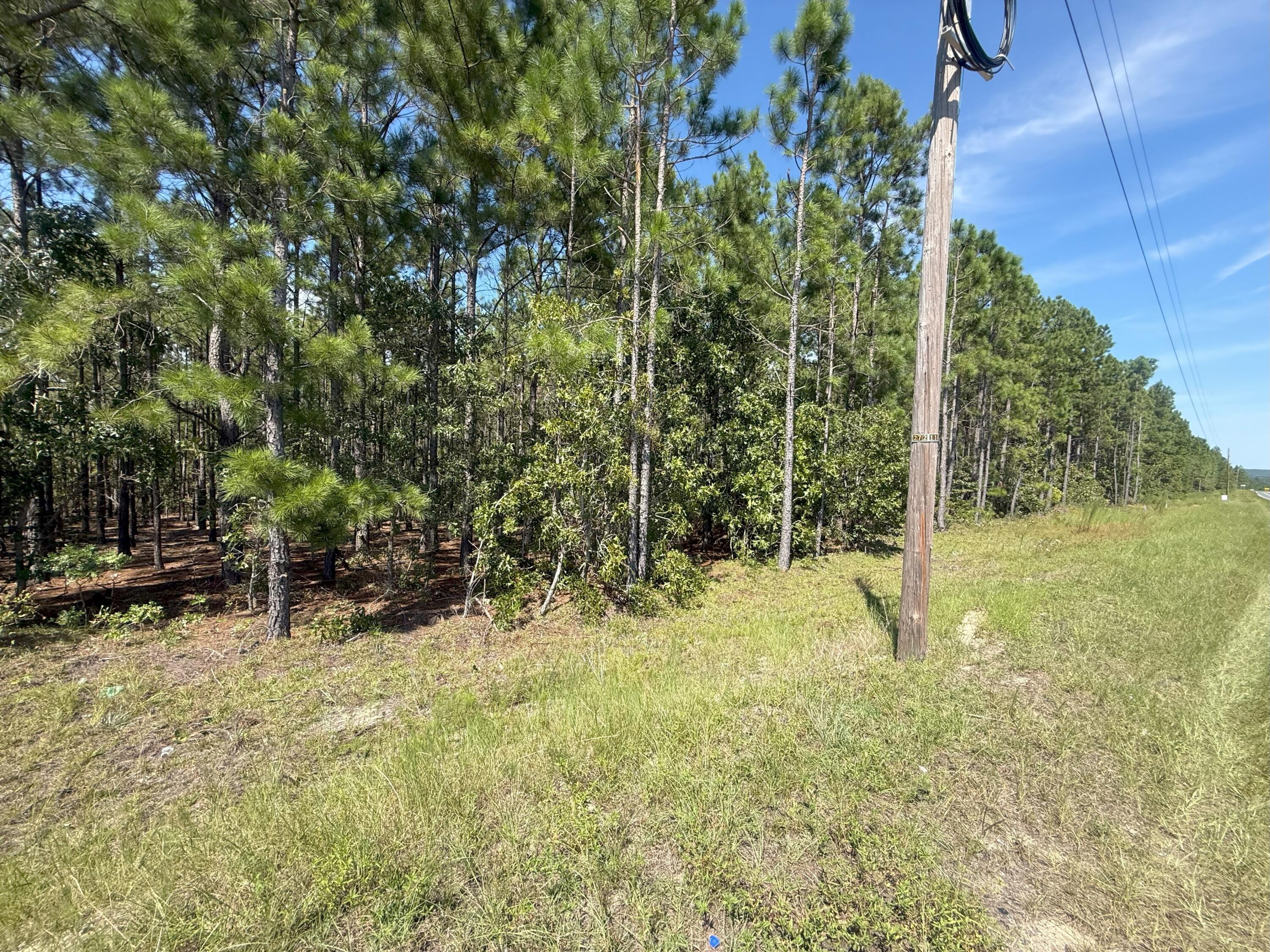 5 Keys Lane, Unit KF 5 Kershaw, SC 29067 - Photo 10 of 10 IMG_2743