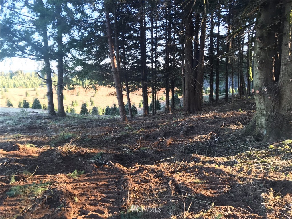 -xxx Penning Road Chehalis, WA 98532 - Photo 2 of 18