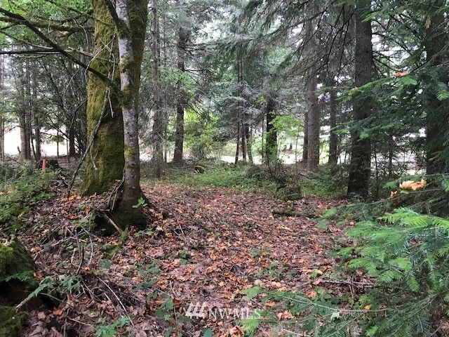 -xxx Penning Road Chehalis, WA 98532 - Photo 11 of 18