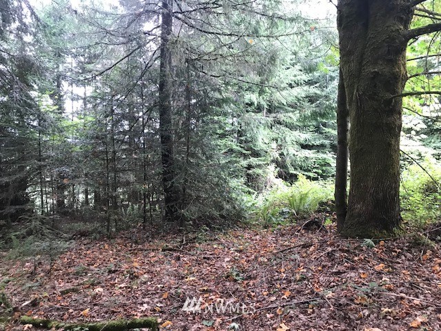 -xxx Penning Road Chehalis, WA 98532 - Photo 12 of 18
