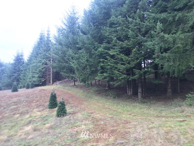 -xxx Penning Road Chehalis, WA 98532 - Photo 13 of 18