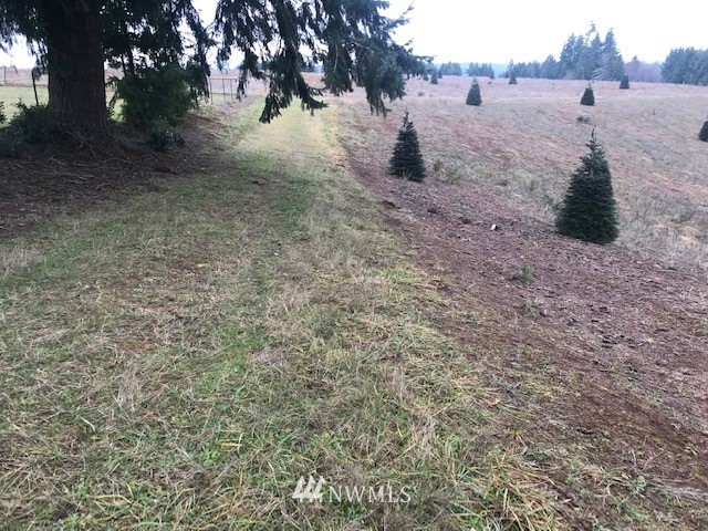 -xxx Penning Road Chehalis, WA 98532 - Photo 14 of 18