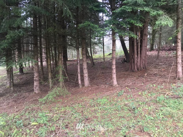 -xxx Penning Road Chehalis, WA 98532 - Photo 15 of 18