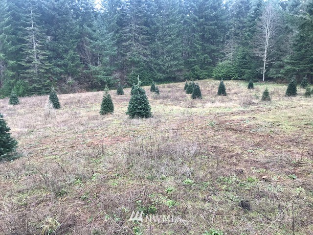 -xxx Penning Road Chehalis, WA 98532 - Photo 16 of 18