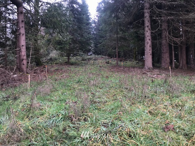 -xxx Penning Road Chehalis, WA 98532 - Photo 17 of 18