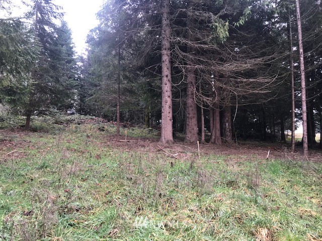 -xxx Penning Road Chehalis, WA 98532 - Photo 18 of 18