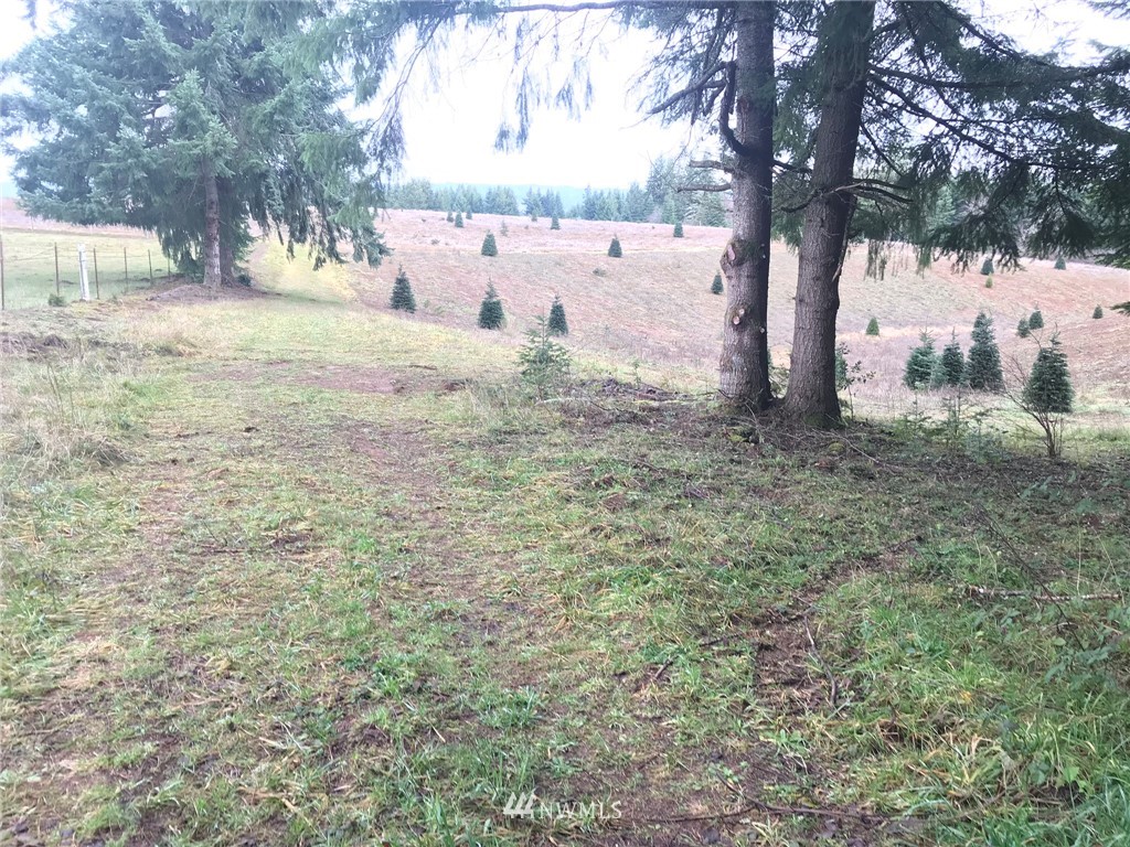 -xxx Penning Road Chehalis, WA 98532 - Photo 3 of 18