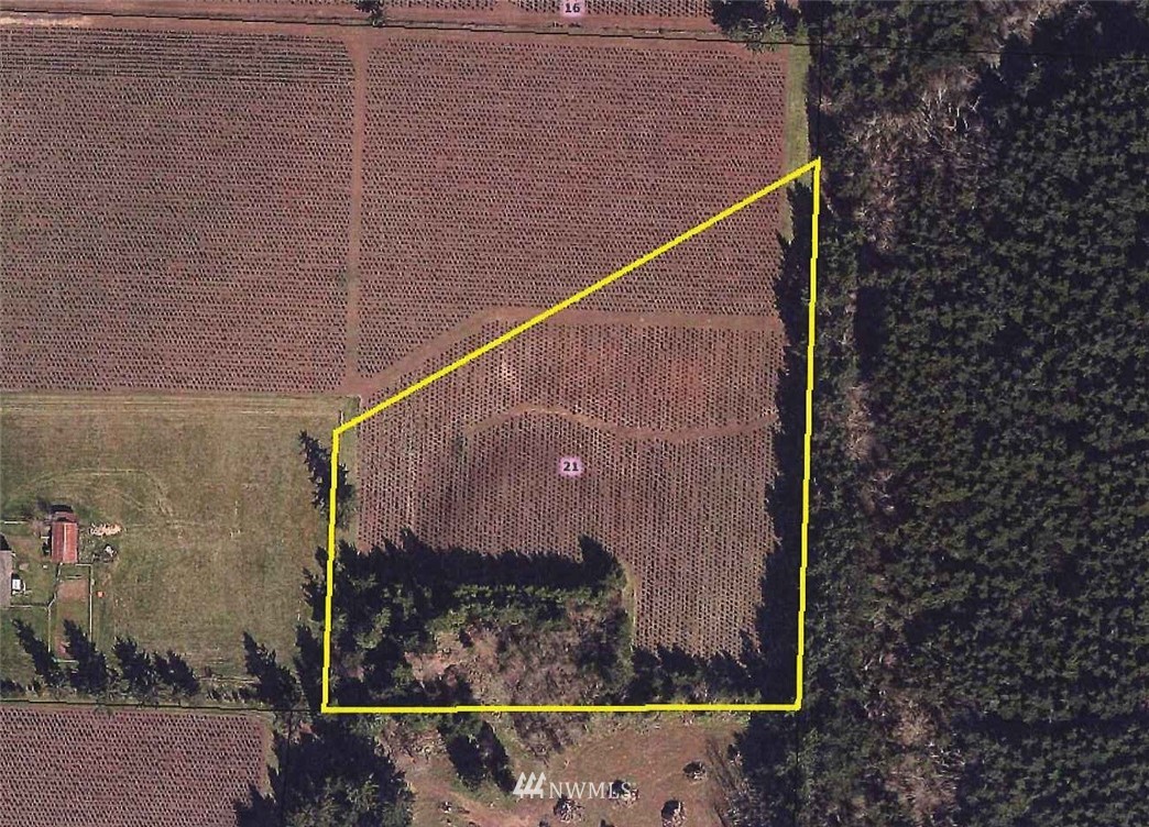 -xxx Penning Road Chehalis, WA 98532 - Photo 5 of 18