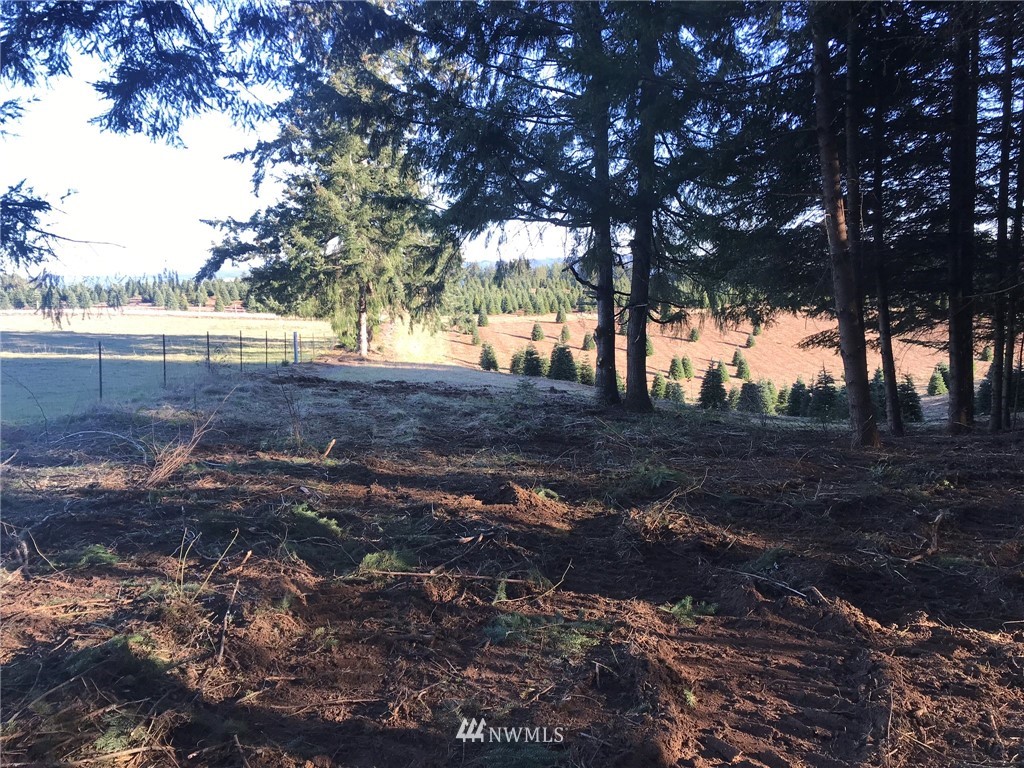 -xxx Penning Road Chehalis, WA 98532 - Photo 6 of 18