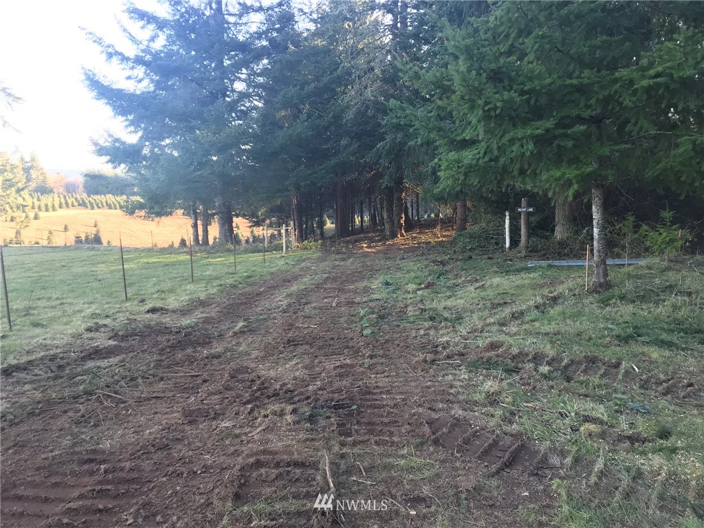 -xxx Penning Road Chehalis, WA 98532 - Photo 7 of 18