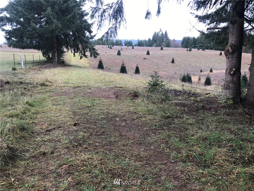 -xxx Penning Road Chehalis, WA 98532 - Photo 8 of 18