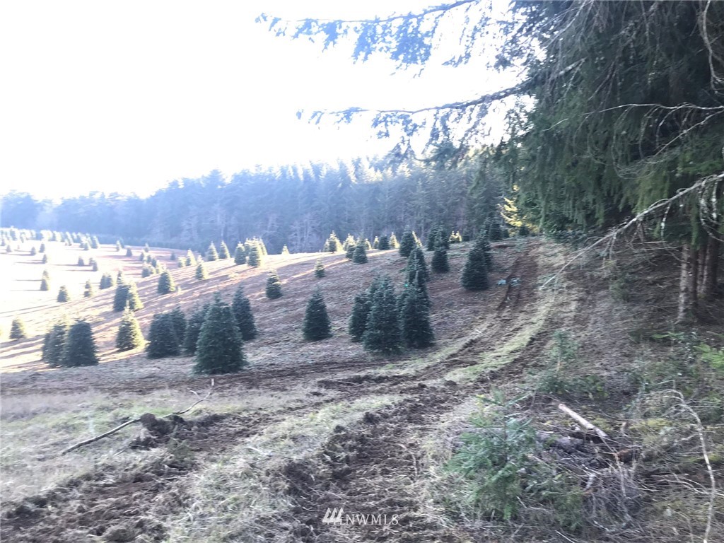 -xxx Penning Road Chehalis, WA 98532 - Photo 9 of 18