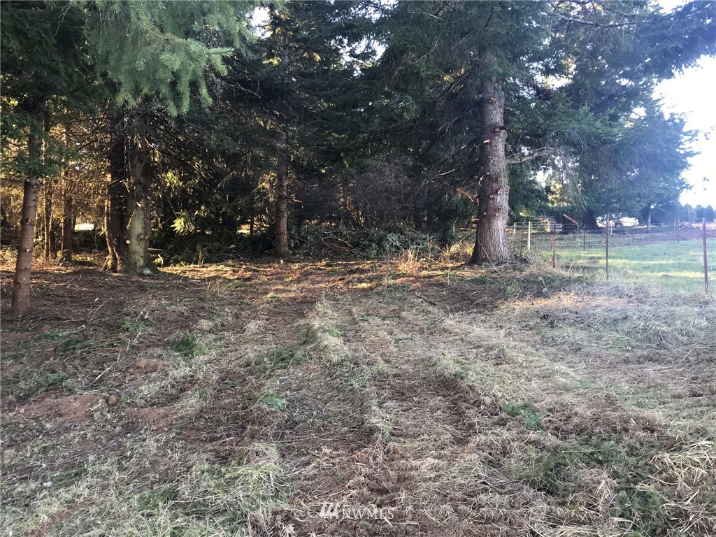 -xxx Penning Road Chehalis, WA 98532 - Photo 10 of 18